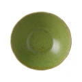 miska-bufetowa-edenic-250mm-zielony-2.jpg