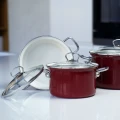 garnek-emaliowany-61-l-z-pokrywka-eco-ceramic-24-cm-bordo-belis (5).jpg