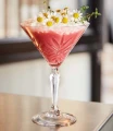 Arcoroc Kieliszek do martini Broadway 210 ml