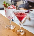Arcoroc Kieliszek do martini Broadway 210 ml