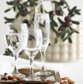 Kieliszek do wina Aspen 245 ml, LAV