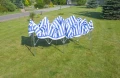 turek_14.webp
