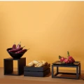 Taca GN 1/1 Madeira Black 530x325x40 mm