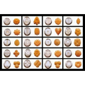 Maszynka-wyciskark-ciastek-dekorator-KingHoff-3750-Kolor-dominujacy-srebrny.png