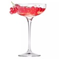 Krosno Kieliszek do szampana niski 240 ml Harmony B575 (6szt)