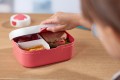 lunchbox_roos_c-kopia_7.jpg