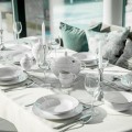 Aura Silver ogolne2.jpg