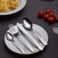 AMEFA-60-SZTUCCE-ZESTAW-1570-BOLOGNA-KOMPLET-48-12-EAN-GTIN-8711155477099.jpg